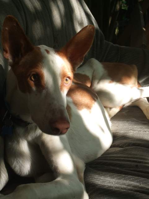 DSCF9445.JPG