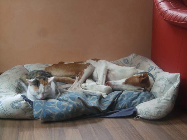 DSCF9681.JPG