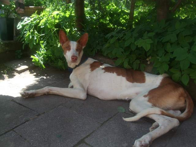 DSCF9691.JPG