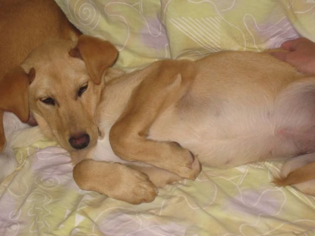 lomibaby IMG_1983.JPG