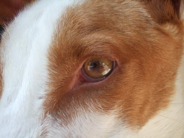 DSCF9760.JPG