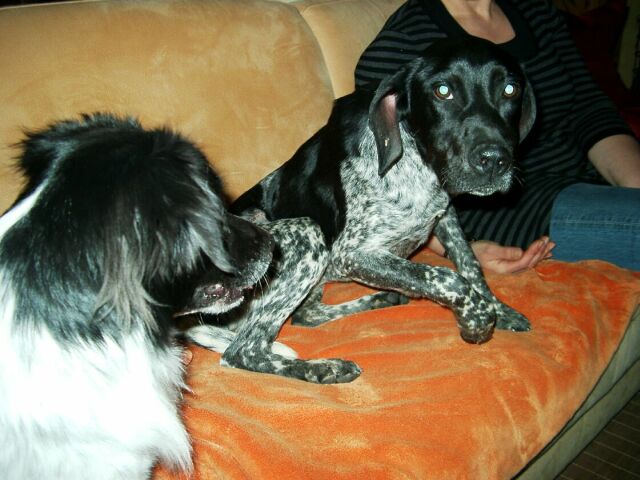 IMGP2657.jpg