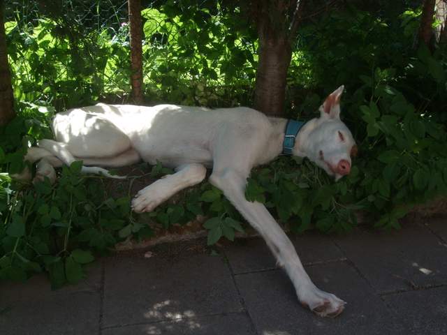 DSCF9813.JPG
