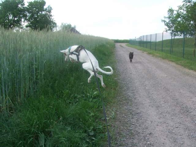 DSCF9928.JPG