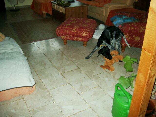 IMGP2667.jpg