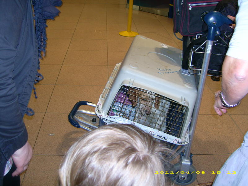Bild 1 - Emmas Ankunft Flughafen.jpg