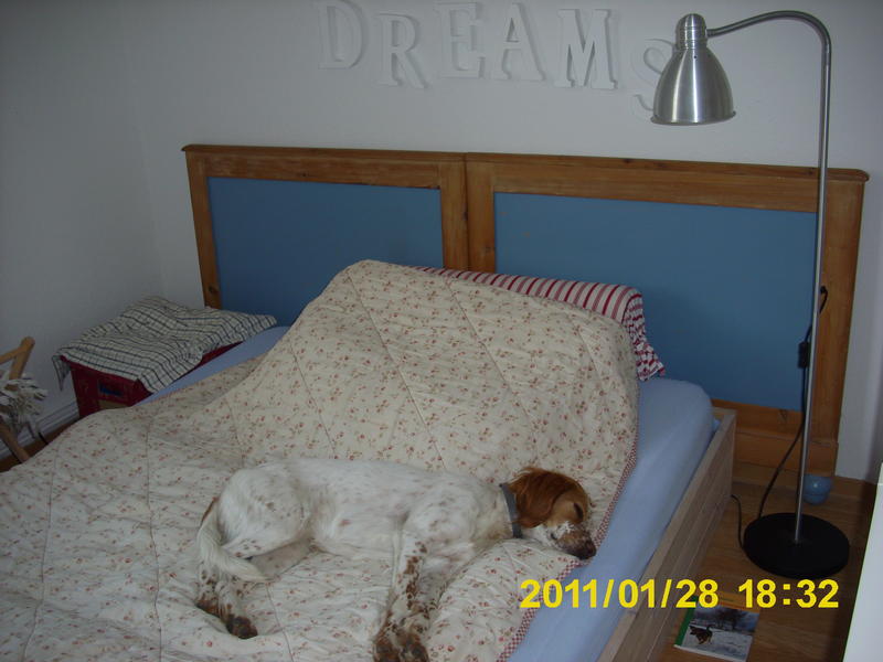 Bild 12 - ohne Worte.jpg