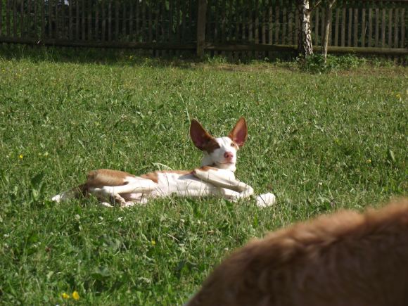 DSCF1218.JPG