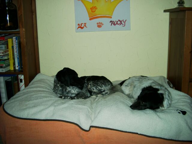 IMGP2706.JPG