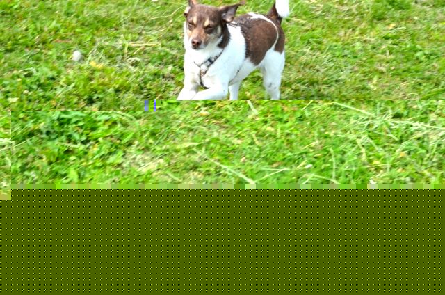 Bild 12.jpg