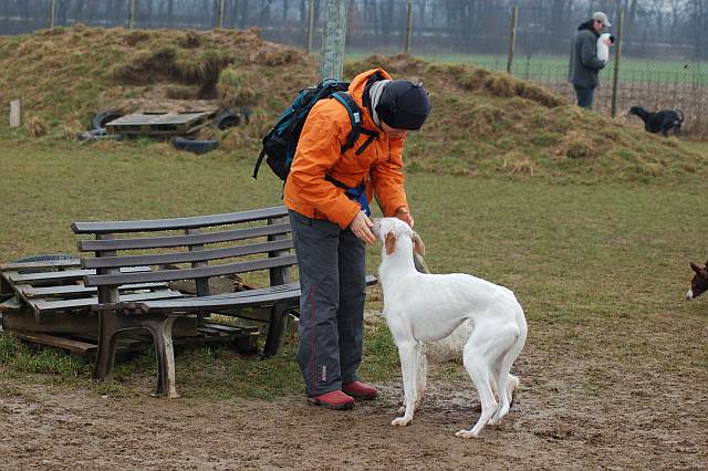 Piga Willich5.jpg
