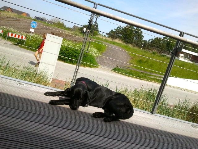 Bild 31.jpg