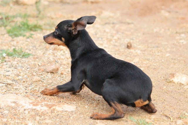 michels twin1.jpg