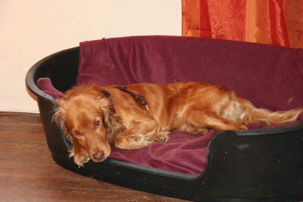 juni_12_ 920.jpg