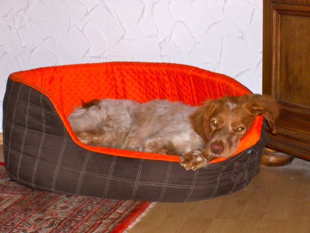 Bild 11.jpg
