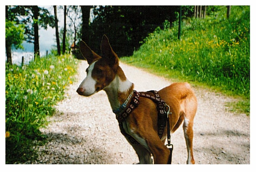900_00000006.jpg