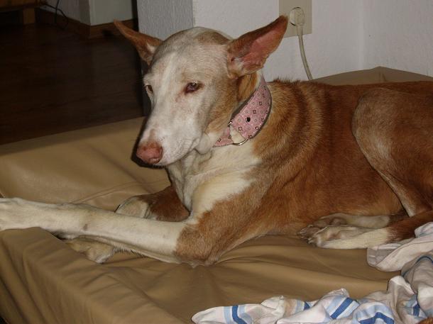 DSCI0002magalie.JPG