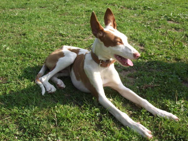 DSCF4779.JPG