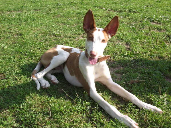 DSCF4781.JPG