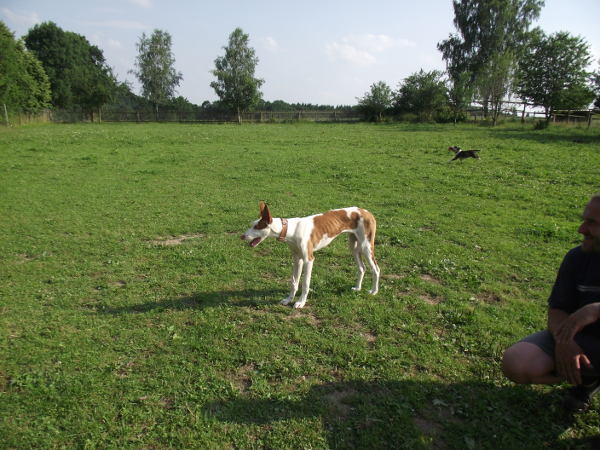 DSCF4782.JPG