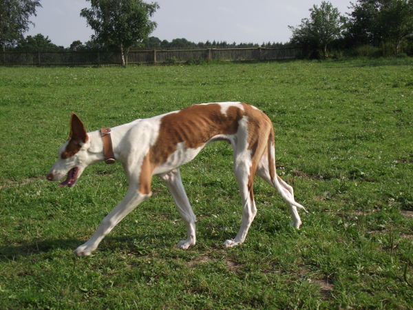 DSCF4783.JPG