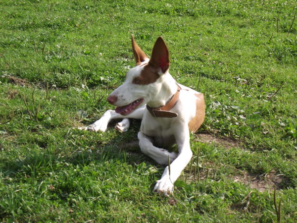 DSCF4790.JPG