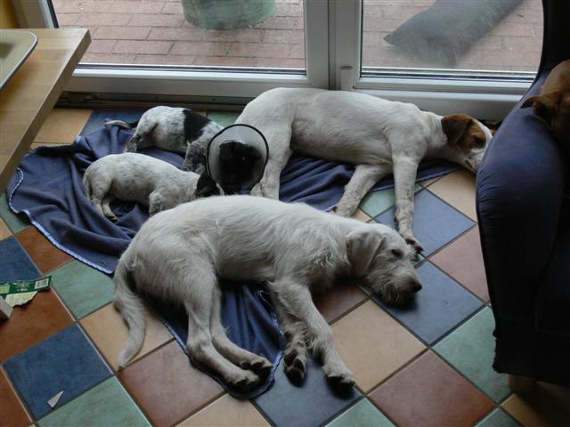 P1030279 (Small).JPG