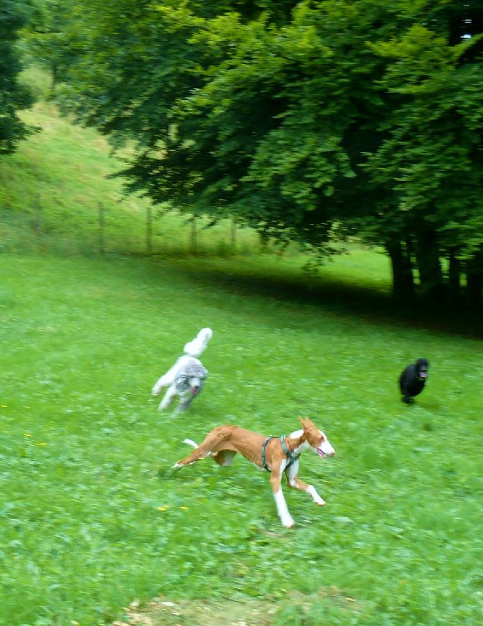 900_P1090763.jpg