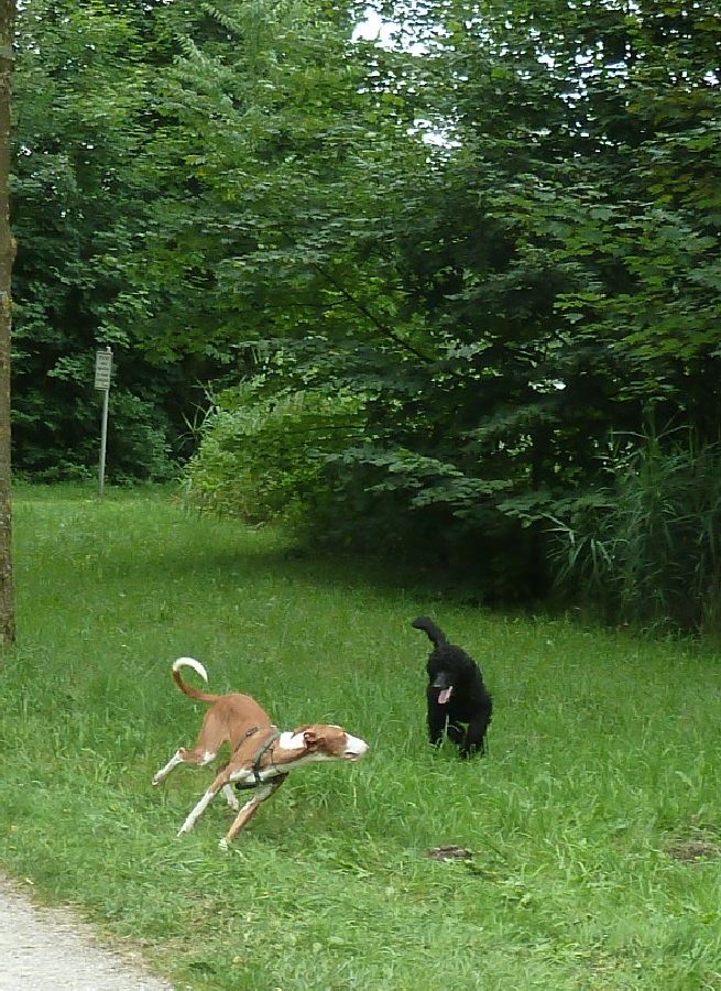 900_P1090764.jpg