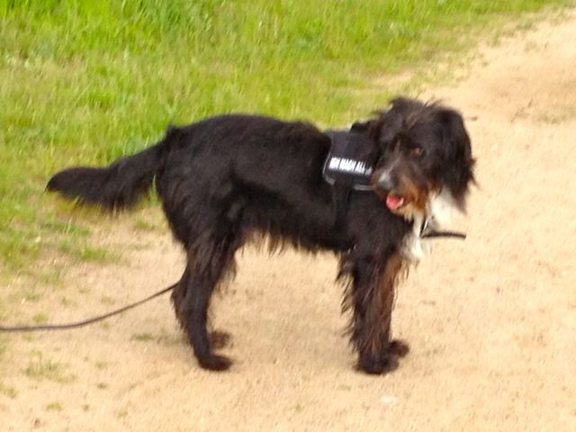 Bild 2.jpg