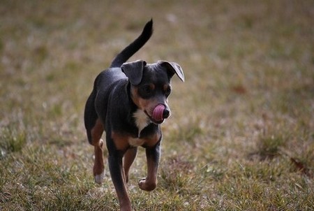 DSC_1768.JPG