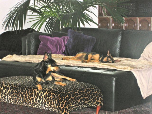 Bild 11.jpg