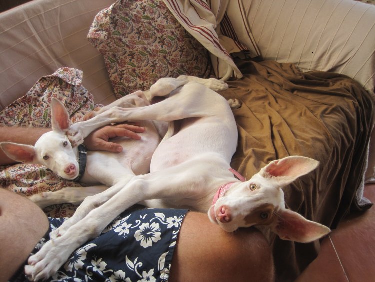 auf dem Sofa 1.jpg