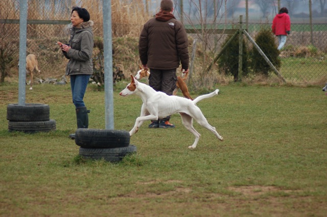 !cid_6A3D6DEC-9540-4834-8DF1-C35E3C747C17.jpg