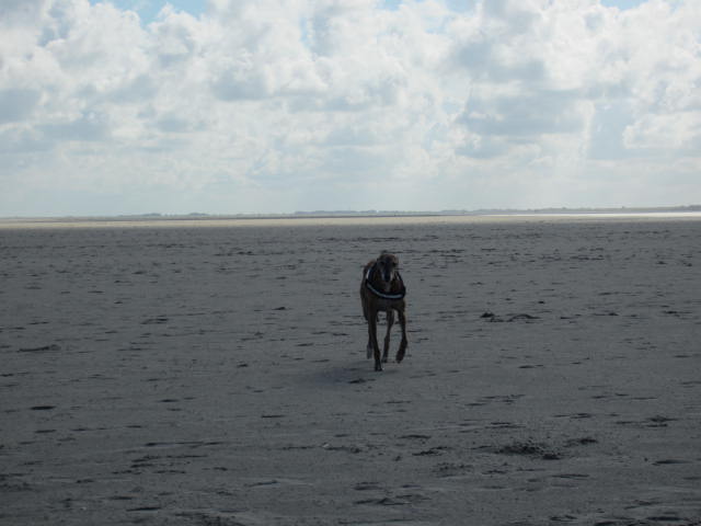 IMG_0127.JPG