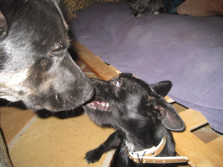 Hugo mit Lemmy.jpg