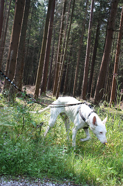 Teix_Tag_danach_5.jpg