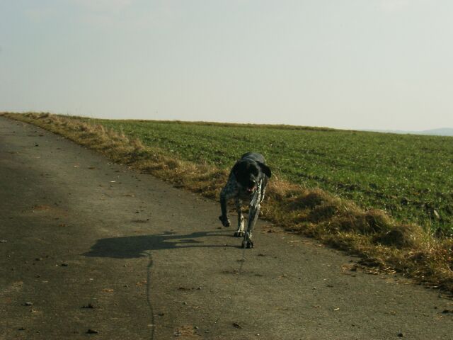 IMGP2869 1.jpg