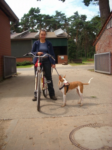 Fahrrad.jpg