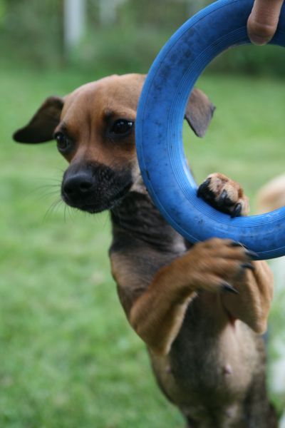 Lucy26.jpg