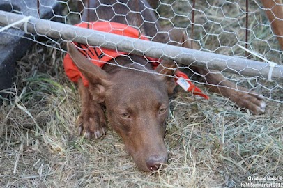 900_IMG_4676.jpg