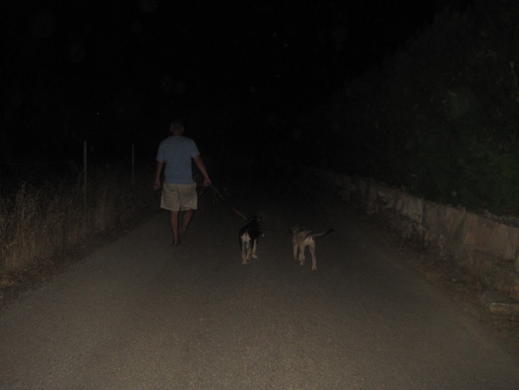 auf dem Rückweg 2.jpg