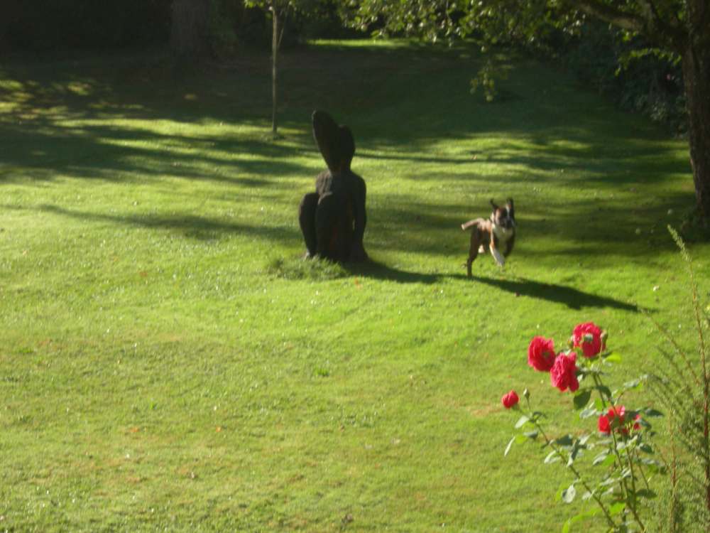 DSCN1706.jpg