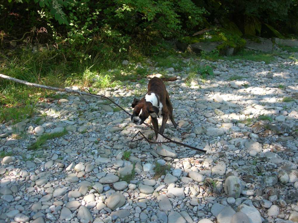 DSCN1707.JPG