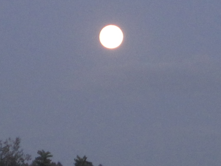 Vollmond.jpg