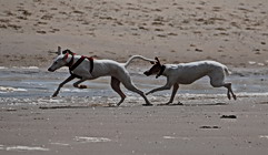 DSC_0112.jpg