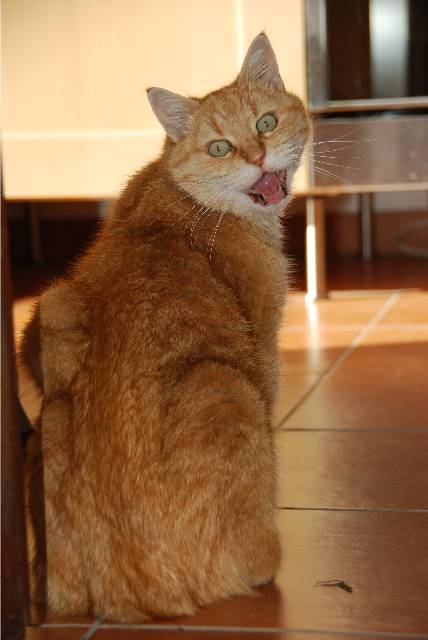 DSC_1913b.JPG
