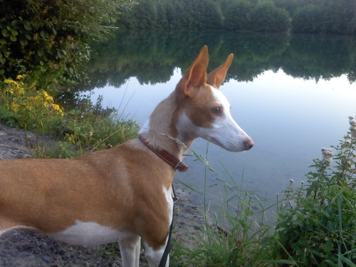 P040912_19.40_[01].jpg