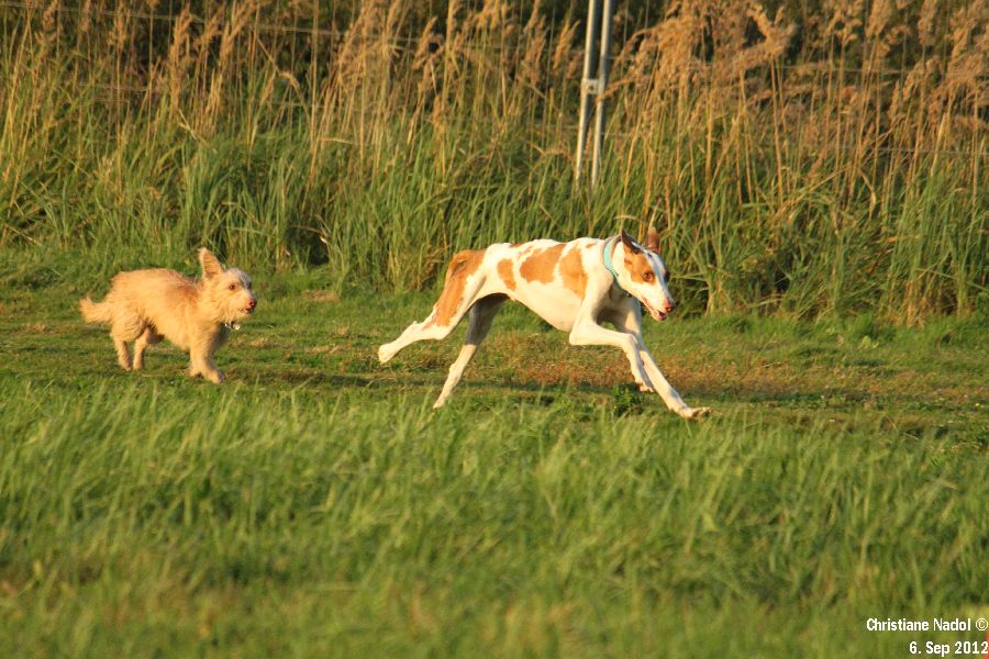 900_IMG_5676.jpg