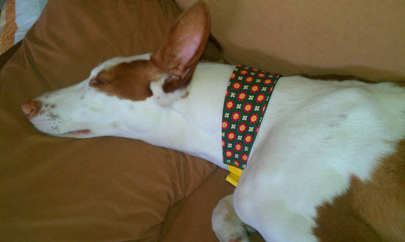 IMAG0261.jpg